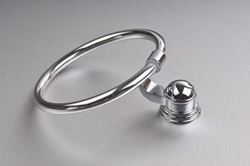 Picture of Giardini Towel RING
