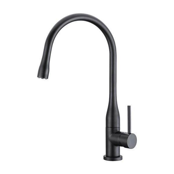 Picture of BIJIOU Cher Black Kitchen Sink Mixer