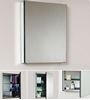 Picture of Mirror Bathroom cabinet / Medicine cabinet with 1 door and 2 shelves, 500 mm L, DELIVERED to CAPE TOWN