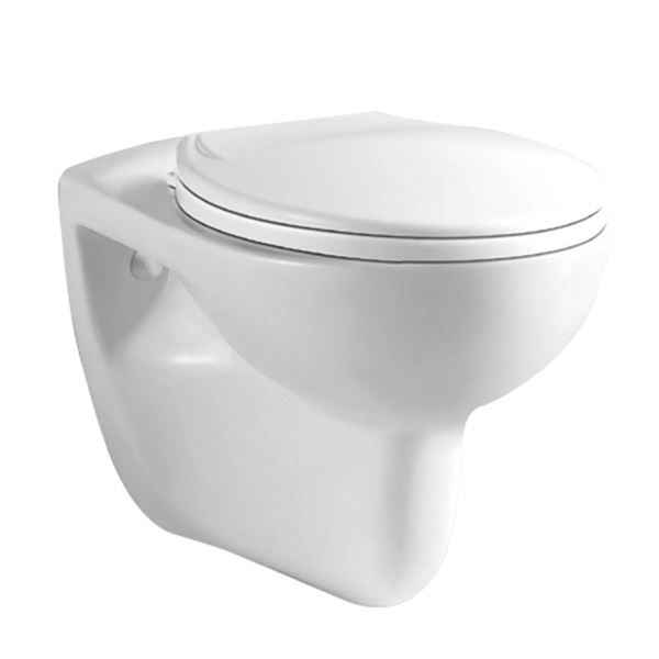 Picture of SALE Capri Wall Hung toilet with toilet seat EX CAPE TOWN