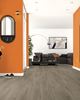 Picture of Cape Town Sale Kronotex Laminate Flooring Grand Oak Titanium