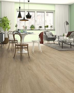 Picture of Cape Town SALE Kronotex Laminate flooring Advanced Plus GRAND OAK LIGHT