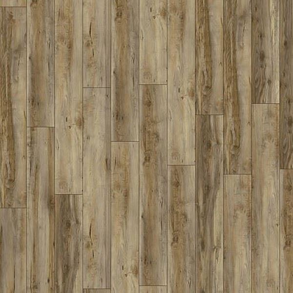 Picture of Cape Town SALE Kronotex Laminate flooring CANYON MAPLE