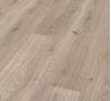 Picture of Cape Town Kronotex Basic laminated flooring Trend Oak Grey, 6 mm