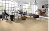 Picture of Cape Town SALE Kronotex Laminate flooring Advanced Plus FINLEY OAK BEIGE