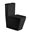 Picture of Gio Sintra BLACK Rimless close couple toilet