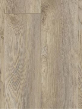 Picture of Cape Town SALE Kronotex LAMINATE FLOORING Mammut Plus MACRO OAK BEIGE 10 mm