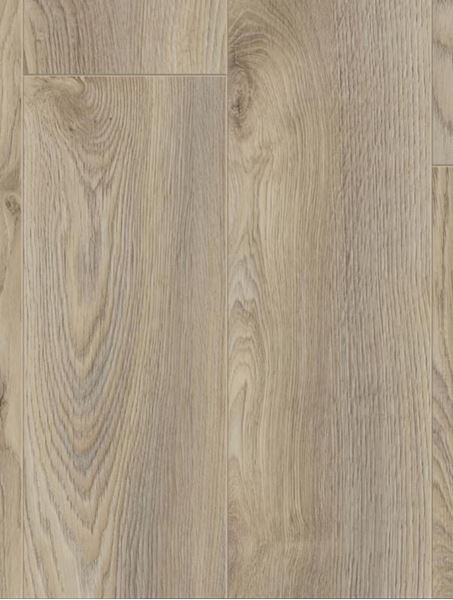 Picture of Cape Town SALE Kronotex LAMINATE FLOORING Mammut Plus MACRO OAK BEIGE 10 mm