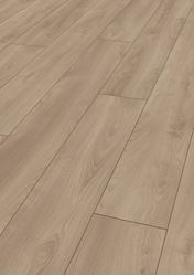 Picture of Cape Town SALE Kronotex LAMINATE FLOORING Mammut Plus MACRO OAK LIGHT 10 mm