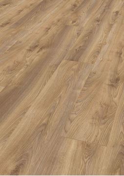 Picture of Cape Town SALE Kronotex  LAMINATE FLOORING Mammut Plus MACRO OAK NATURE 10 mm