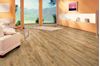 Picture of Cape Town SALE Kronotex  LAMINATE FLOORING Mammut Plus MACRO OAK NATURE 10 mm