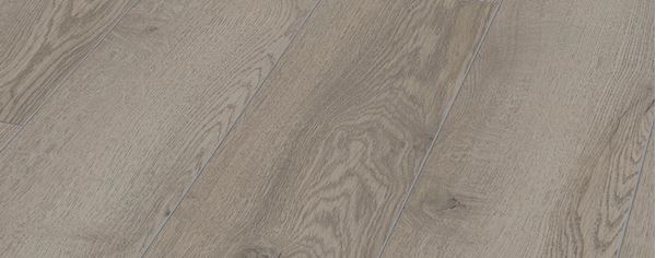 Picture of Cape Town Sale Kronotex Laminate Flooring Mammut Plus MOUNTAIN OAK GREY 10 mm