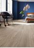 Picture of Cape Town SALE Kronotex Laminate Flooring Grand Oak Titanium