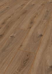Picture of Cape Town SALE Kronotex Laminate flooring Exquisit PRESTIGE OAK NATURE